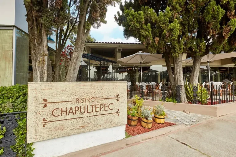 Bistró Chapultepec: Elegancia Contemporánea en el Corazón de Chapultepec.
