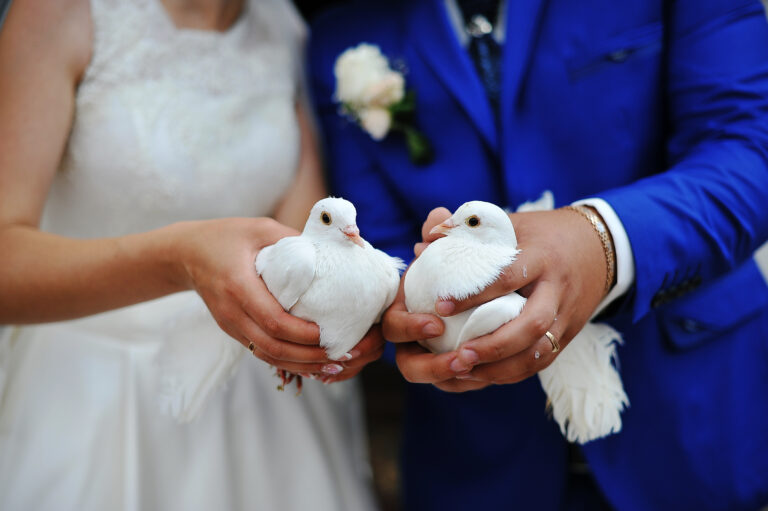 Salones y Jardines para Bodas Espacios Inolvidables para tu Gran Día.