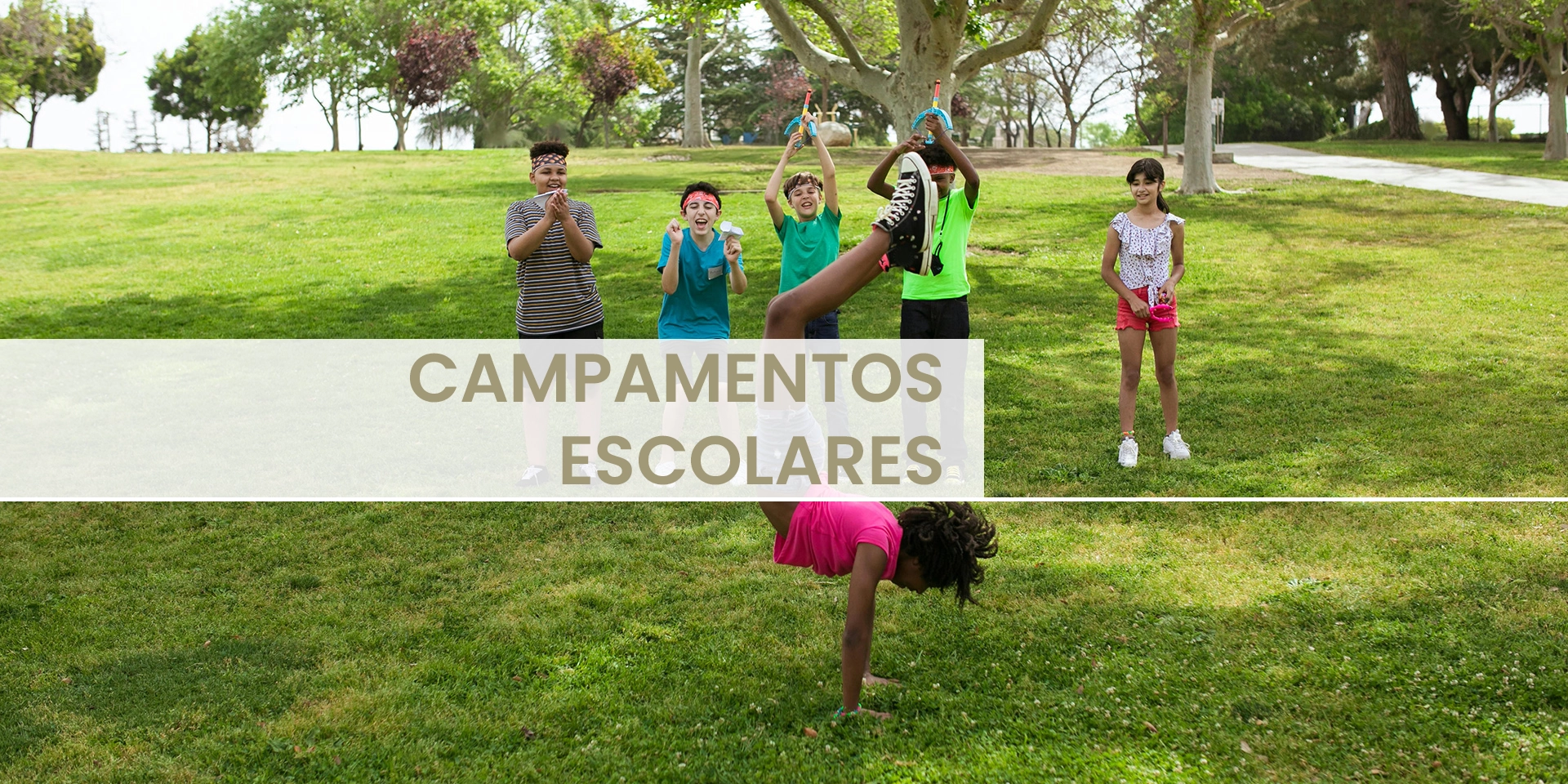 campamentos-banner-inicio