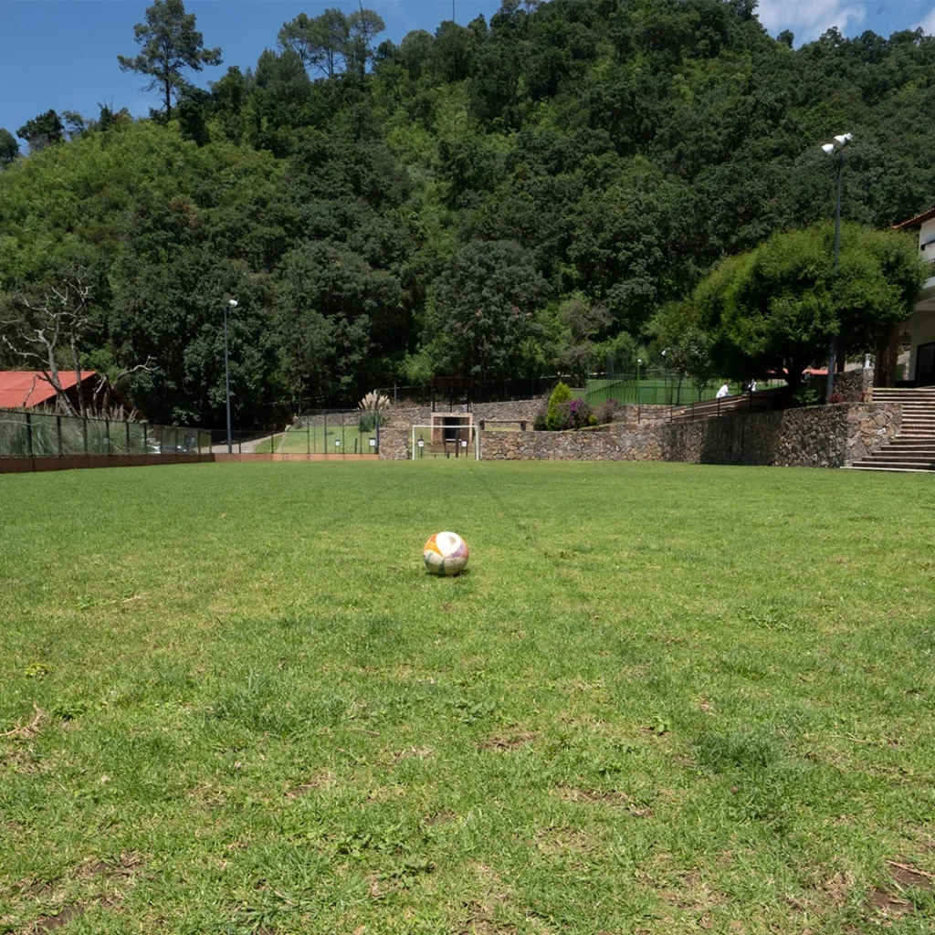 cancha-futbol-7