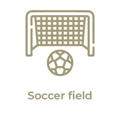 ico-en_Soccer field-