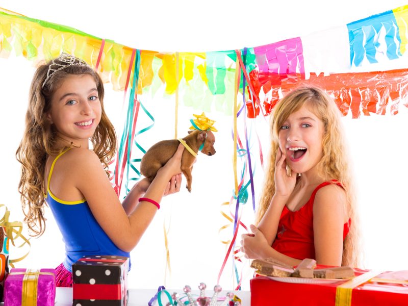 girl friends party excited with puppy dog present girl friends party excited with puppy chihuahua present dog in birthday