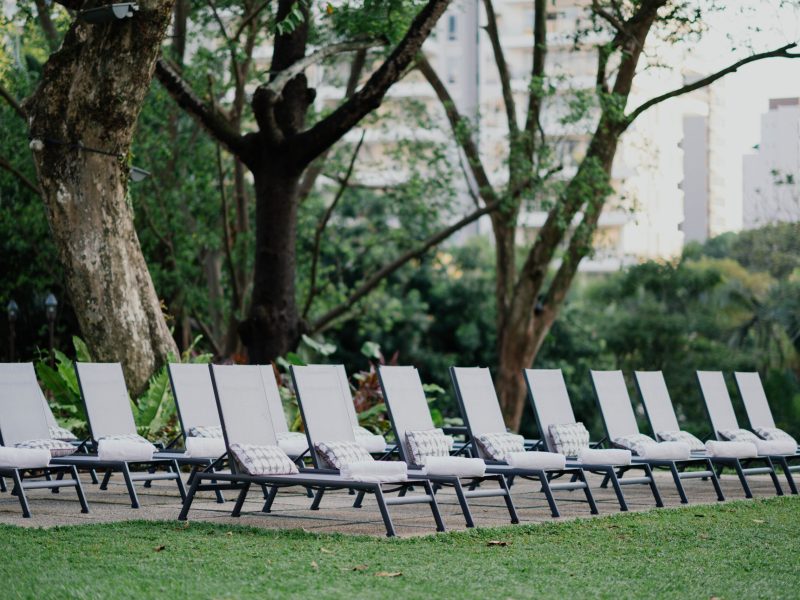 Grass, plant, furniture and chair | HD photo by chuttersnap Grass, plant, furniture and chair | HD photo by chuttersnap